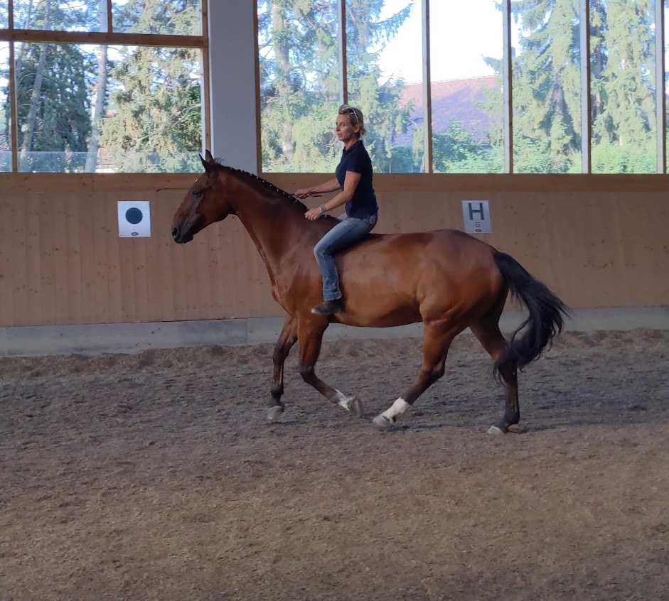NHT Academy